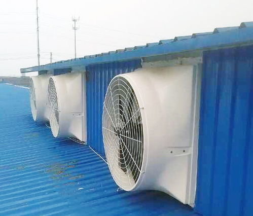 無動力屋頂風(fēng)機報價與廠家選擇指南